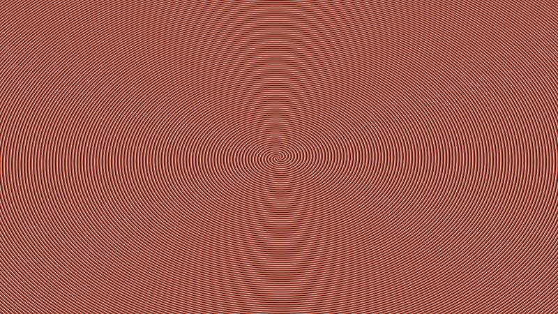 Come Personalizzare il Tuo Percorso di Studio